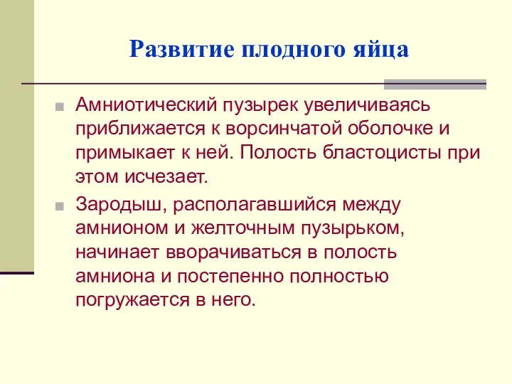 Развитие плодного яйца Амниотический пузырек увеличиваясь приближается к ворсинчатой оболочке