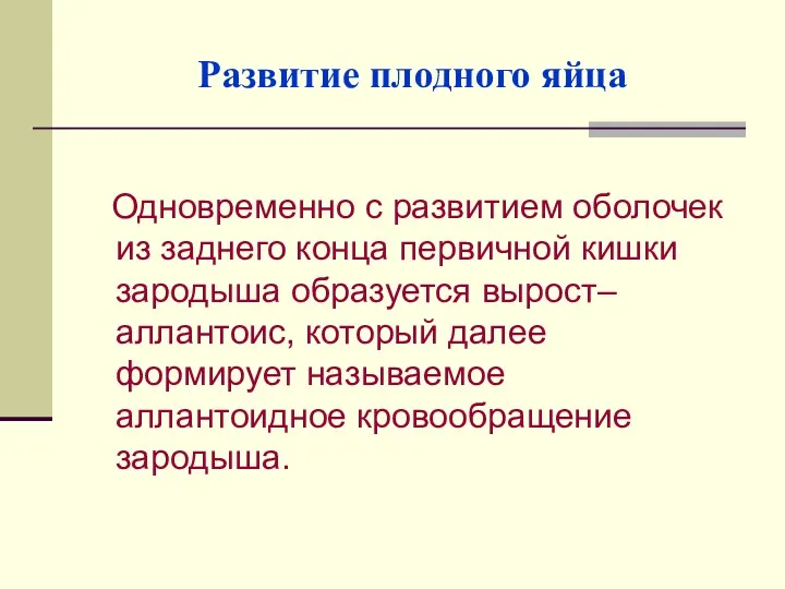 Развитие плодного яйца Одновременно с развитием оболочек из заднего конца