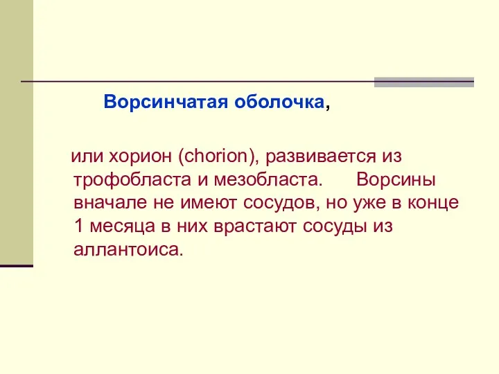 Ворсинчатая оболочка, или хорион (сhorion), развивается из трофобласта и мезобласта.