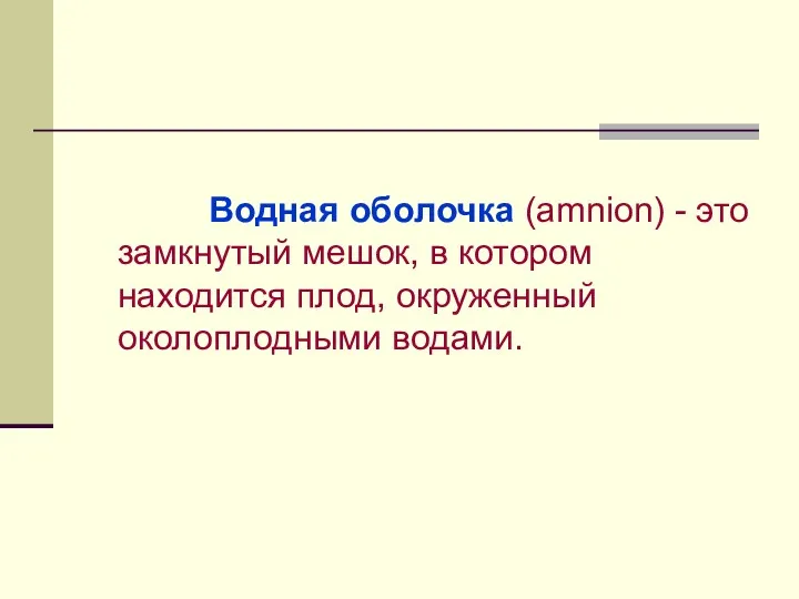 Водная оболочка (amnion) - это замкнутый мешок, в котором находится плод, окруженный околоплодными водами.