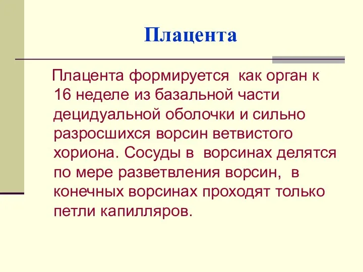 Плацента Плацента формируется как орган к 16 неделе из базальной