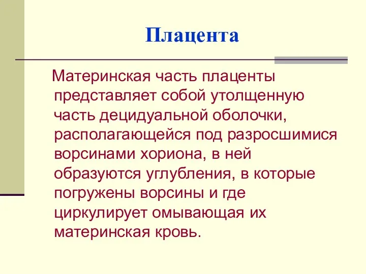 Плацента Материнская часть плаценты представляет собой утолщенную часть децидуальной оболочки,