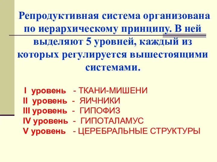 Репродуктивная система организована по иерархическому принципу. В ней выделяют 5