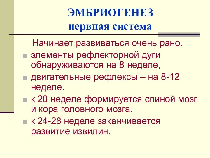 ЭМБРИОГЕНЕЗ нервная система Начинает развиваться очень рано. элементы рефлекторной дуги