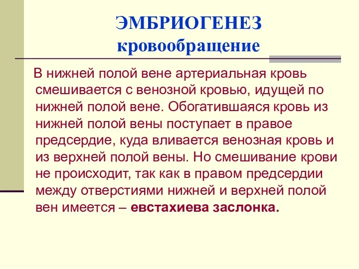 ЭМБРИОГЕНЕЗ кровообращение В нижней полой вене артериальная кровь смешивается с