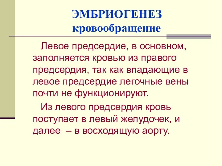 ЭМБРИОГЕНЕЗ кровообращение Левое предсердие, в основном, заполняется кровью из правого