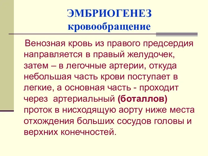 ЭМБРИОГЕНЕЗ кровообращение Венозная кровь из правого предсердия направляется в правый