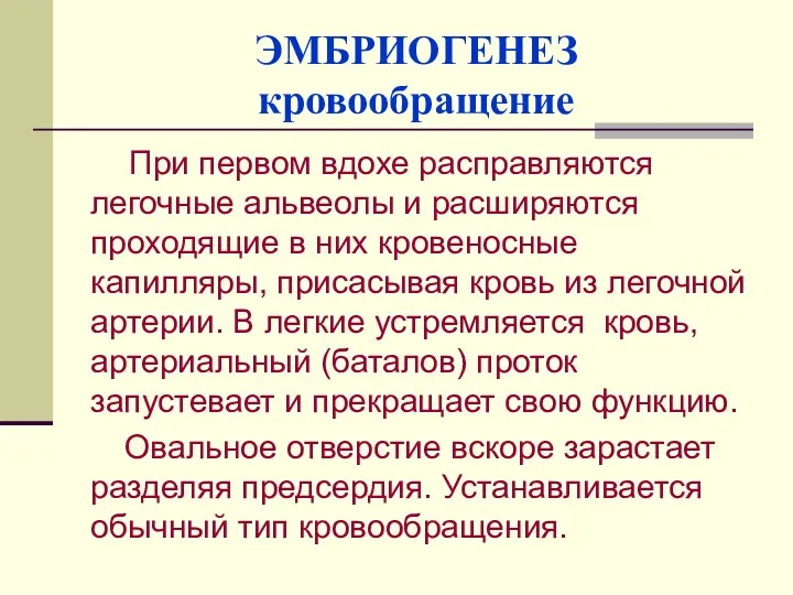 ЭМБРИОГЕНЕЗ кровообращение При первом вдохе расправляются легочные альвеолы и расширяются