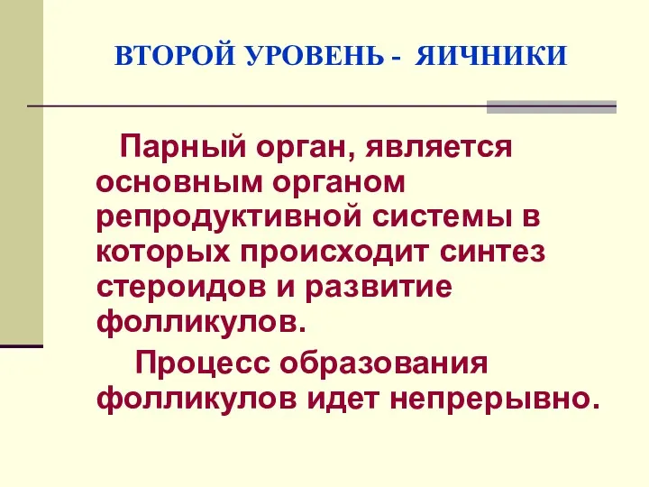 ВТОРОЙ УРОВЕНЬ - ЯИЧНИКИ Парный орган, является основным органом репродуктивной