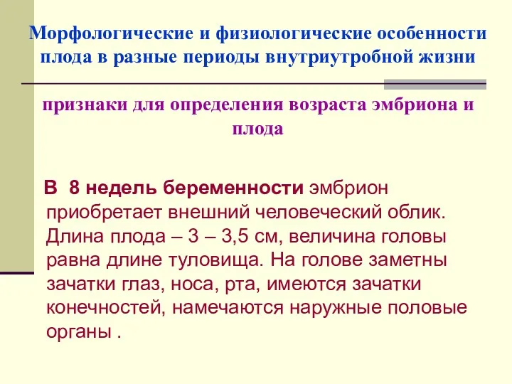 Морфологические и физиологические особенности плода в разные периоды внутриутробной жизни