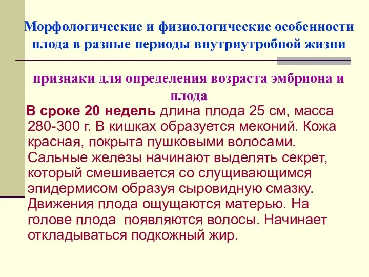 Морфологические и физиологические особенности плода в разные периоды внутриутробной жизни