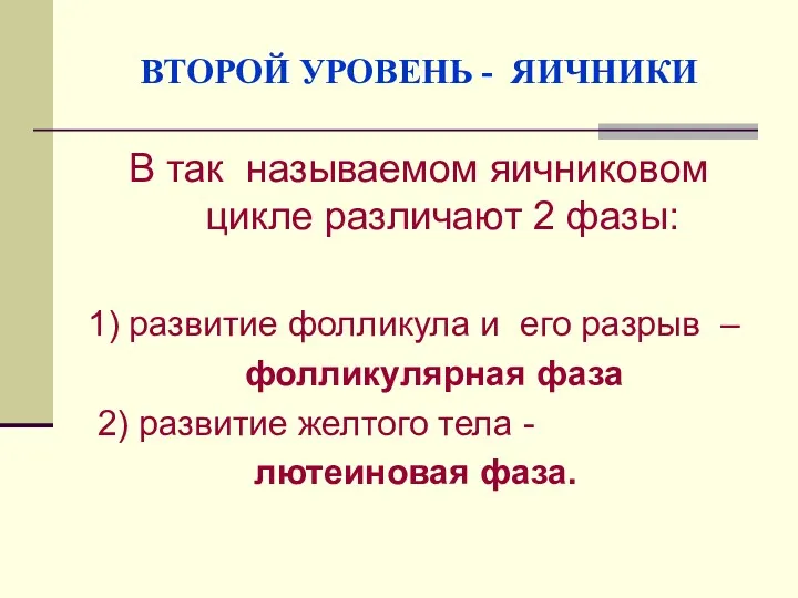 ВТОРОЙ УРОВЕНЬ - ЯИЧНИКИ В так называемом яичниковом цикле различают