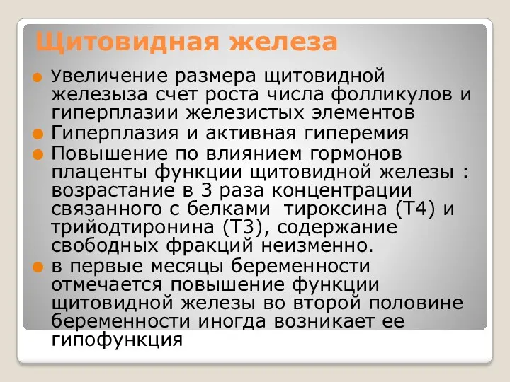 Щитовидная железа Увеличение размера щитовидной железыза счет роста числа фолликулов