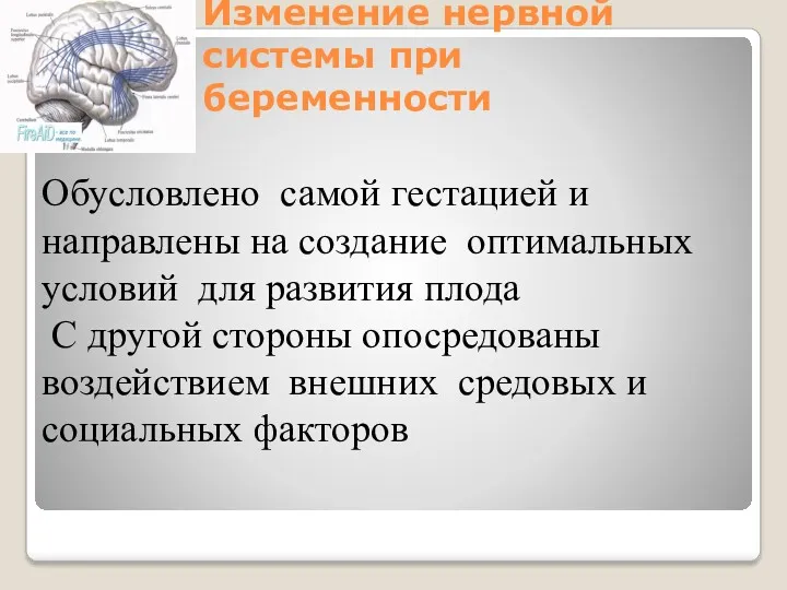 Изменение нервной системы при беременности Обусловлено самой гестацией и направлены