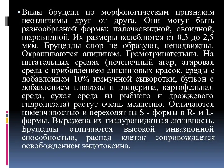 Виды бруцелл по морфологическим признакам неотличимы друг от друга. Они