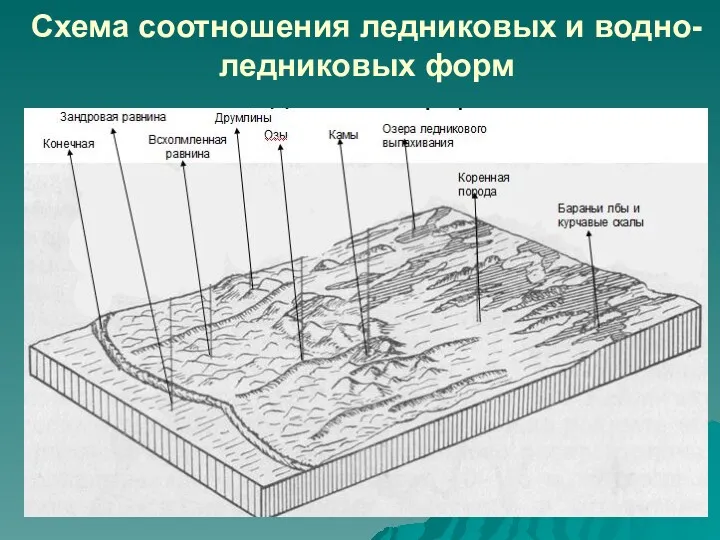 Схема соотношения ледниковых и водно-ледниковых форм