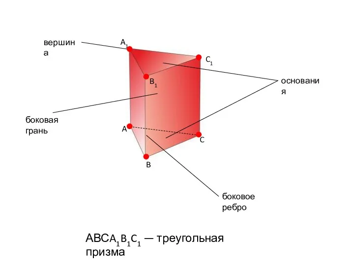 A1 B1 C1 A B C основания боковая грань боковое ребро АВСA1B1C1 — треугольная призма вершина