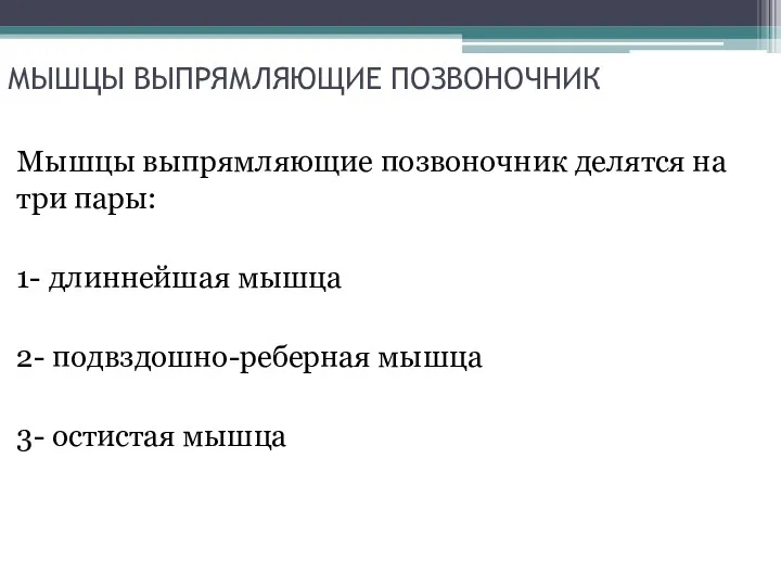 МЫШЦЫ ВЫПРЯМЛЯЮЩИЕ ПОЗВОНОЧНИК Мышцы выпрямляющие позвоночник делятся на три пары: