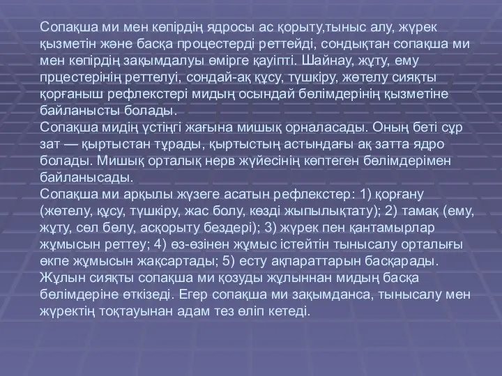 Сопақша ми мен көпірдің ядросы ас қорыту,тыныс алу, жүрек қызметін