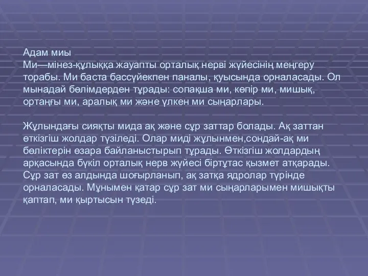 Адам миы Ми—мінез-құлыққа жауапты орталық нерві жүйесінің меңгеру торабы. Ми