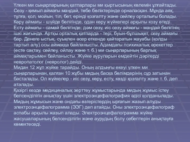 Үлкен ми сыңарларының қатпарлары ми қыртысының көлемін ұлғайтады. Сезу -