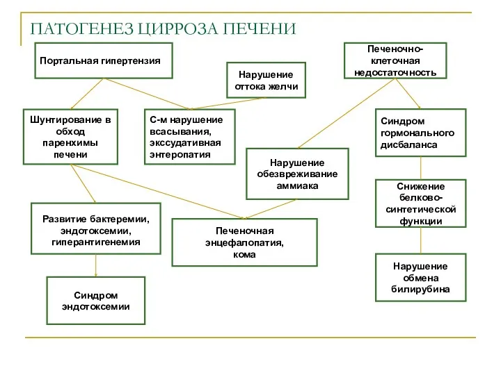 ПАТОГЕНЕЗ ЦИРРОЗА ПЕЧЕНИ Шунтирование в обход паренхимы печени Развитие бактеремии,