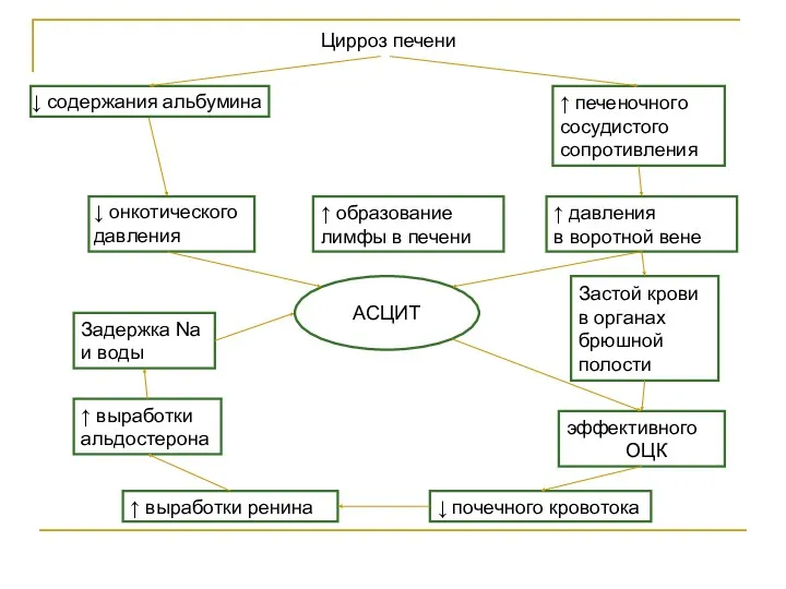 ↓ почечного кровотока ↑ выработки ренина ↑ выработки альдостерона эффективного