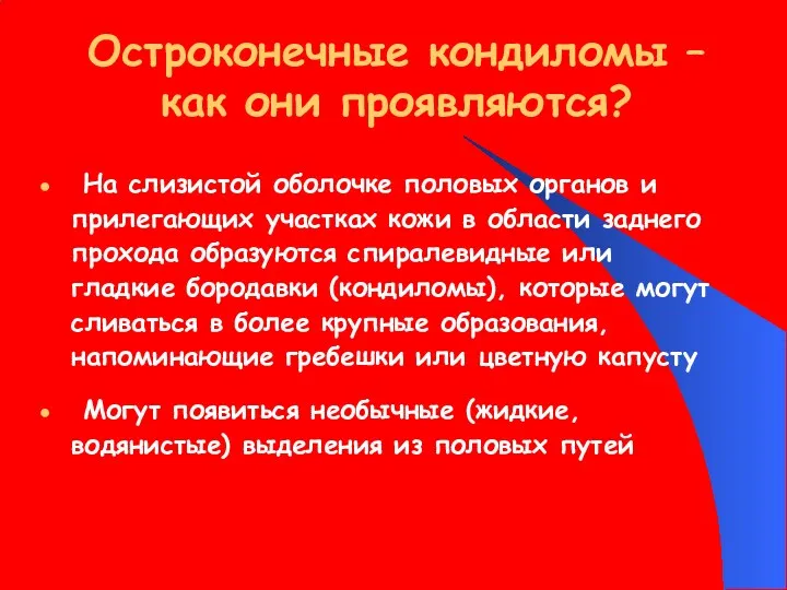 Остроконечные кондиломы – как они проявляются? На слизистой оболочке половых