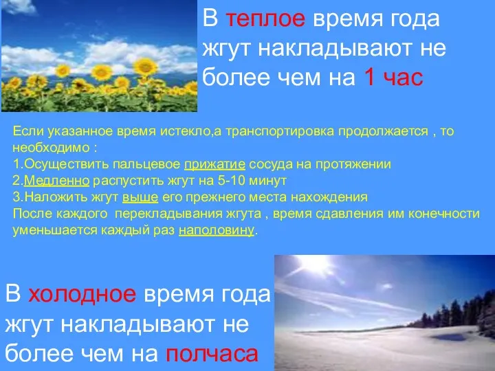 В теплое время года жгут накладывают не более чем на 1 час В