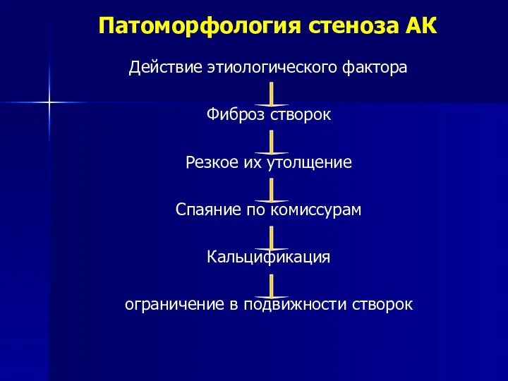 Патоморфология стеноза АК Действие этиологического фактора Фиброз створок Резкое их