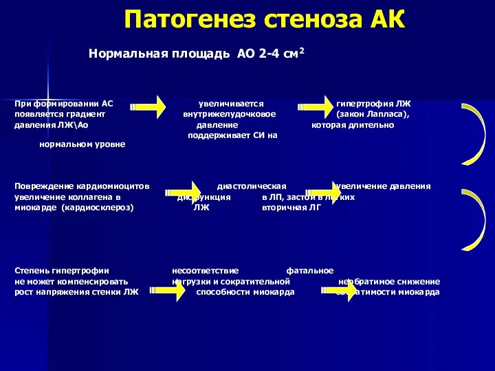 Патогенез стеноза АК Нормальная площадь АО 2-4 см2 При формировании