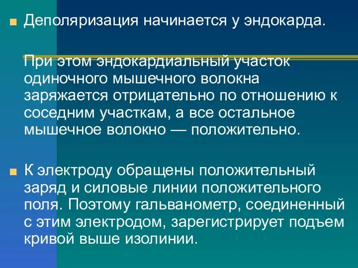 Деполяризация начинается у эндокарда. При этом эндокардиальный участок одиночного мышечного