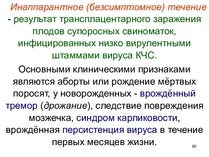 Инаппарантное (безсимптомное) течение - результат трансплацентарного заражения плодов супоросных свиноматок,