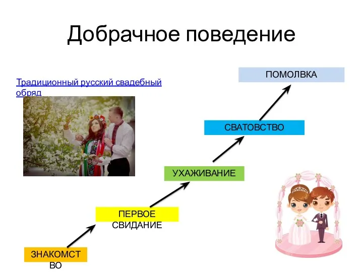 Добрачное поведение ЗНАКОМСТВО ПЕРВОЕ СВИДАНИЕ УХАЖИВАНИЕ СВАТОВСТВО ПОМОЛВКА Традиционный русский свадебный обряд