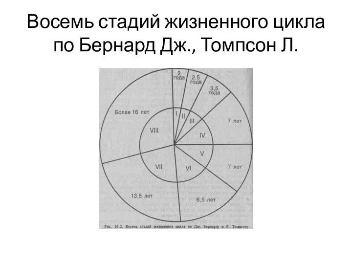 Восемь стадий жизненного цикла по Бернард Дж., Томпсон Л.