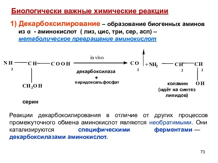 1) Декарбоксилирование – образование биогенных аминов из α - аминокислот