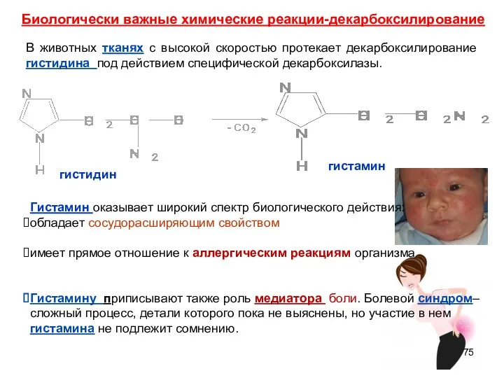 гистамин гистидин Биологически важные химические реакции-декарбоксилирование В животных тканях с