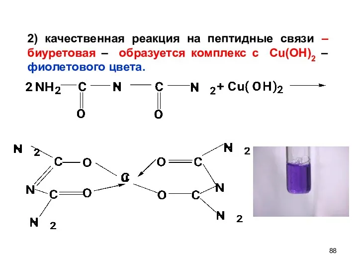 2) качественная реакция на пептидные связи – биуретовая – образуется комплекс с Сu(OH)2 – фиолетового цвета.
