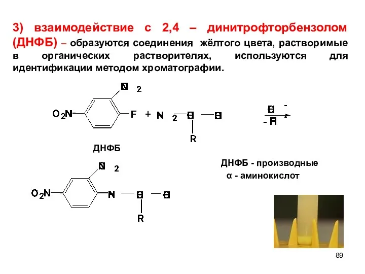 ДНФБ - 3) взаимодействие с 2,4 – динитрофторбензолом (ДНФБ) –