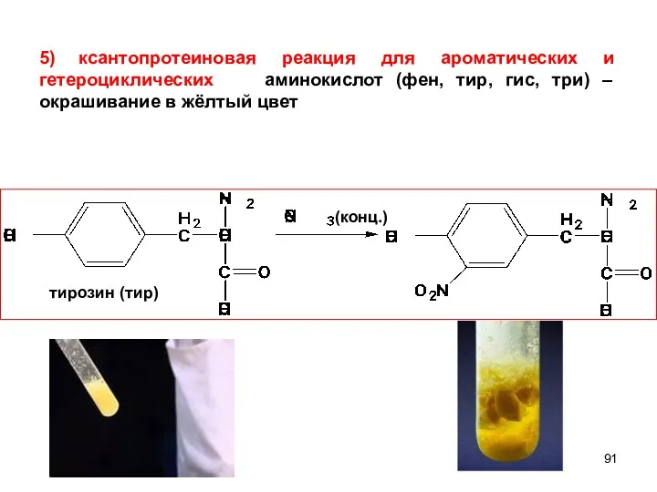 тирозин (тир) (конц.) 5) ксантопротеиновая реакция для ароматических и гетероциклических