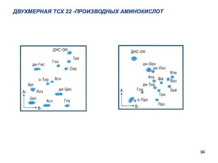 ДВУХМЕРНАЯ ТСХ 22 -ПРОИЗВОДНЫХ АМИНОКИСЛОТ