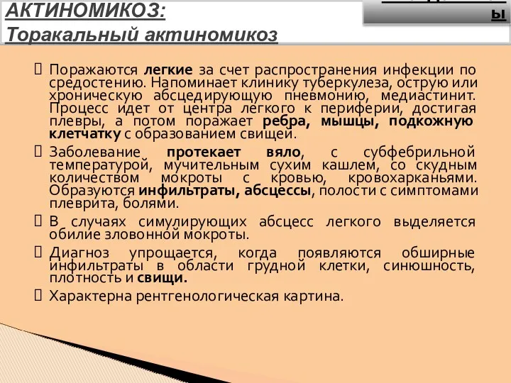 АКТИНОМИКОЗ: Торакальный актиномикоз Поражаются легкие за счет распространения инфекции по средостению. Напоминает клинику