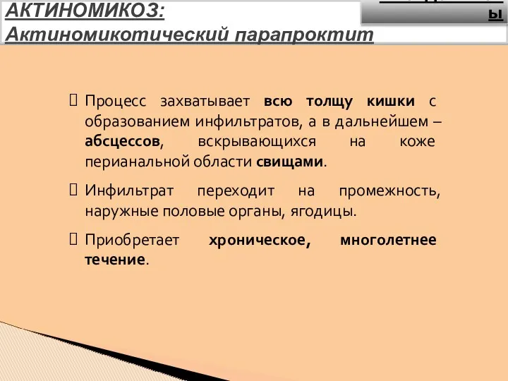 АКТИНОМИКОЗ: Актиномикотический парапроктит Процесс захватывает всю толщу кишки с образованием