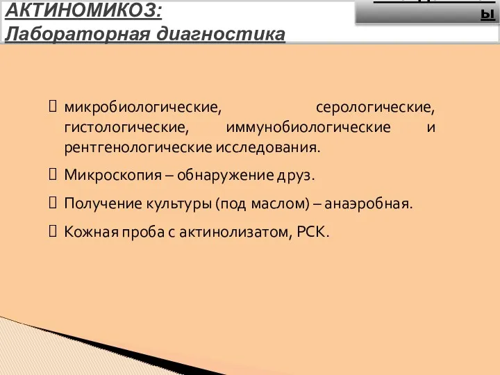 АКТИНОМИКОЗ: Лабораторная диагностика микробиологические, серологические, гистологические, иммунобиологические и рентгенологические исследования. Микроскопия – обнаружение