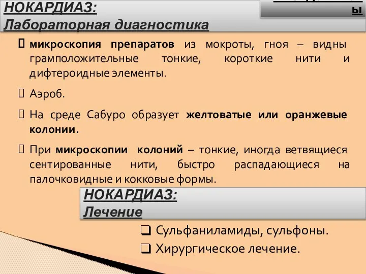 НОКАРДИАЗ: Лабораторная диагностика микроскопия препаратов из мокроты, гноя – видны грамположительные тонкие, короткие