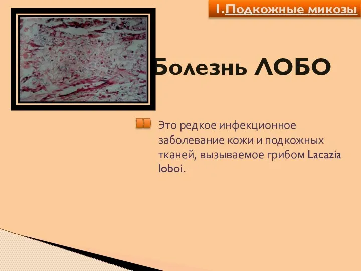 Болезнь ЛОБО Это редкое инфекционное заболевание кожи и подкожных тканей, вызываемое грибом Lacazia loboi. 1.Подкожные микозы