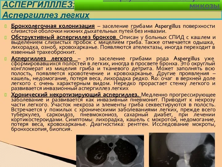 Бронхолегочная колонизация – заселение грибами Aspergillus поверхности слизистой оболочки нижних дыхательных путей без