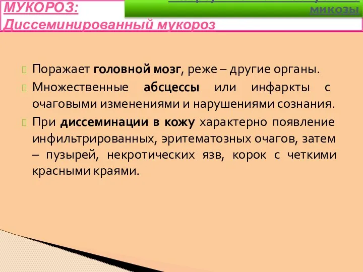 Поражает головной мозг, реже – другие органы. Множественные абсцессы или инфаркты с очаговыми