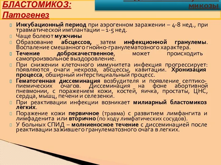 БЛАСТОМИКОЗ: Патогенез Инкубационный период при аэрогенном заражении – 4-8 нед.,