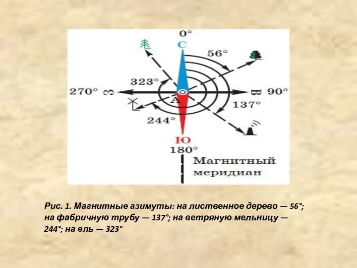 Рис. 1. Магнитные азимуты: на лиственное дерево — 56°; на